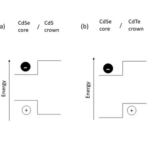 Figure 2.3: Schematic depiction of processes going on upon excitation of (a) type – I  CdSe/CdS and (b) type – II CdSe/CdTe core/crown heterostructures
