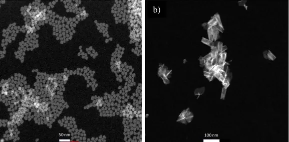 Figure 3.6: Examples of HAADF-STEM images of (a) CdSe NPLs and (b) CdS NPLs  synthesized at our laboratory
