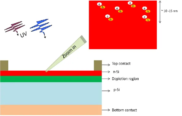 Figure 5.1.1 Typical architecture of a planar crystalline silicon solar cell. Short wavelength  (highly energetic) photons are absorbed very close to the silicon surface
