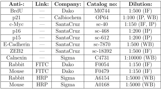 Table 3.3: Antibodies used in western blot (WB), immunofluorescence (IF), and immunoperoxidase (IP) experiments and corresponding dilutions.