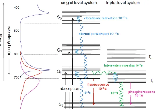 Figure 3: Jablonski diagram representing the typical photophysical processes in  molecules  2