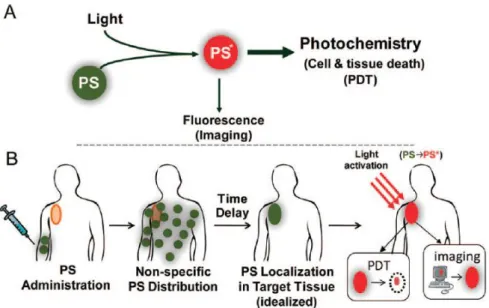 Figure 17: (A) Schematic representation of PDT (B) Schematic representation of  sequence of events in PDT 59