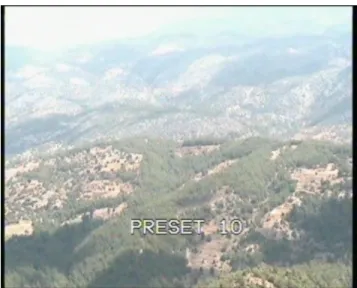 Fig. 1. Background image at frame number 100 in one of the test videos. 