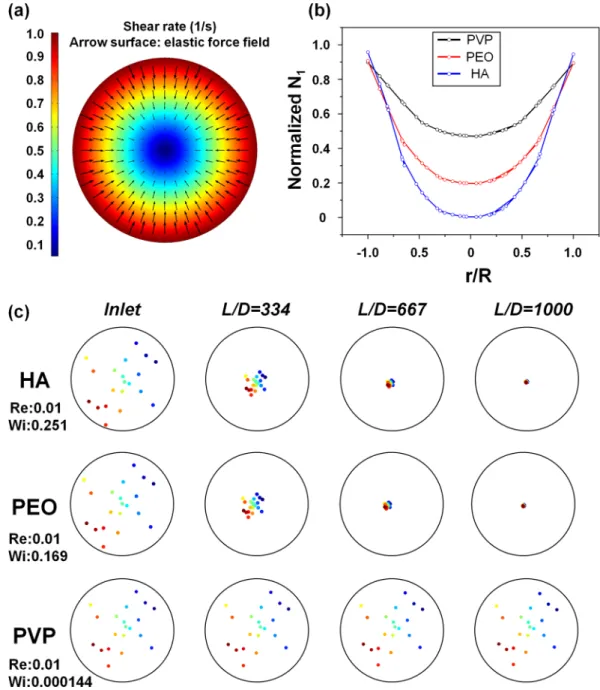 Figure 2.  Numerical results of viscoelastic focusing: (a) Normalized shear rate for viscoelastic fluid inside  cylindrical capillary tube and corresponding elastic force field