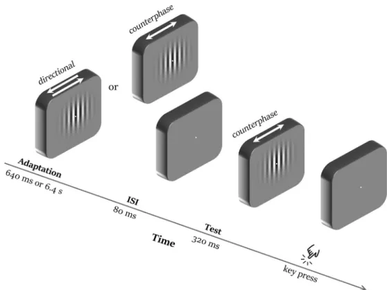 Fig. 1 e Schematic representation of the stimuli and timeline. In each trial, the adapting stimulus was shown first