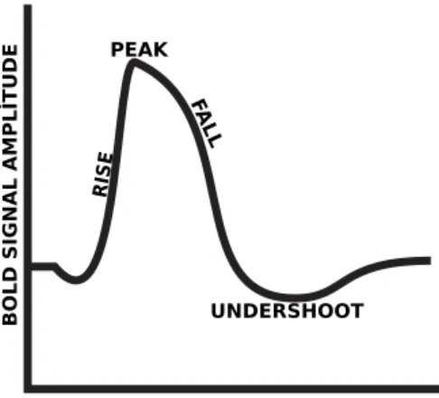 Figure 2.1: A typical hemodynamic response. Measured BOLD activity starts to increase two seconds after from beginning of the neural activity