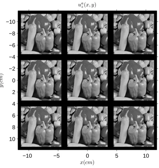 Figure 2.8: Output ﬁeld produced by the SLM pattern in Fig. 2.7 (magnitude).