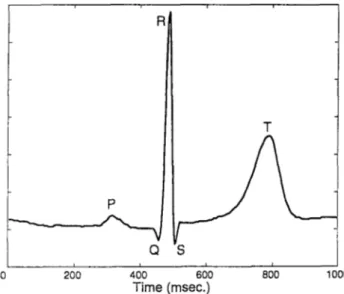 Figure  1 . 2 :  A  typical  heart  beat.