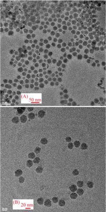 FIGURE  3:  TEM  results  for  silica  shell  growth  inside  the  reactor. The monodisperse particles have a diameter size range  of  25±2.7  nm