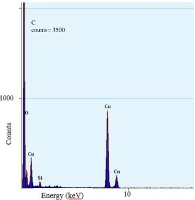 FIGURE  4:  EDX  result  for  the  particles  shown  in  Figure  3. 