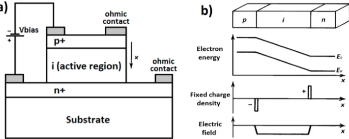 Figure 2.2 a) Top illuminated p-i-n photodetector structure, b) Corresponding band diagram,  charge and electric field distribution (After Ref