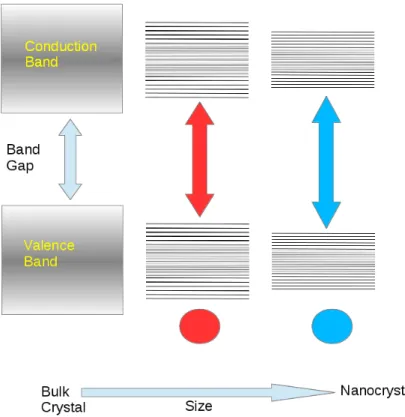 Figure 2.3: Size-energy band realtionship in semiconductor quantum dots. En- En-ergy levels begin to split when the dimension of the nanocrystal quantum dot becomes to be on the order of its exciton-Bohr radius