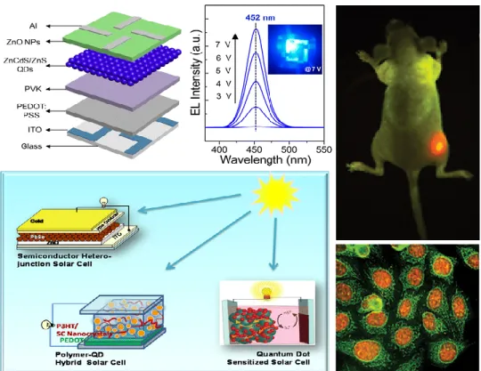 Figure 2.5: Some representative examples from applications of quantum dots. At upleft corner, a quantum dot LED is shown (Adopted from Ref.[35])