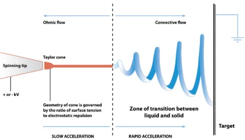 Figure 2.10: Schematic diagram of electrospinning process. With applying a high voltage dierence, molecules in the solution both polarized and subsequently accelerated toward the target