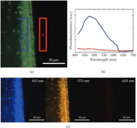 Figure 9.7  Fluorescence imaging microscopy of silicon nanoparticles prepared via the PLAL method in the low energy  regime
