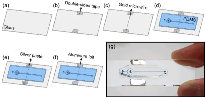 Figure 1.   Chip fabrication steps: (a) a cleaned glass slide, (b) attaching the double-sided tapes, (c) stretching the gold microwire between  the tapes, (d ) bonding the PDMS microchannel onto the glass slide, (e) placing the silver paste onto the tapes,