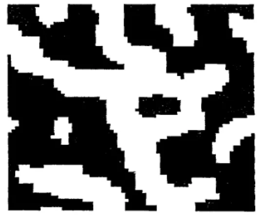 Figure  a)  Two regions, generated with a first order BMM 