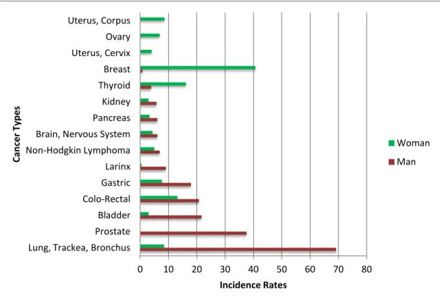 Figure 1: Cancer Incidence Rates in Turkey (per 100,000) [44] 