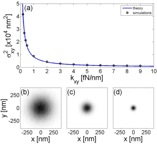 Fig. 4. (a) As the trap stiffness k xy increases, the particles become more and more confined as shown by the theoretical (solid curve) and numerical (symbols) variance r xy of the particle position around the trap center in the y-plane and, in particular,