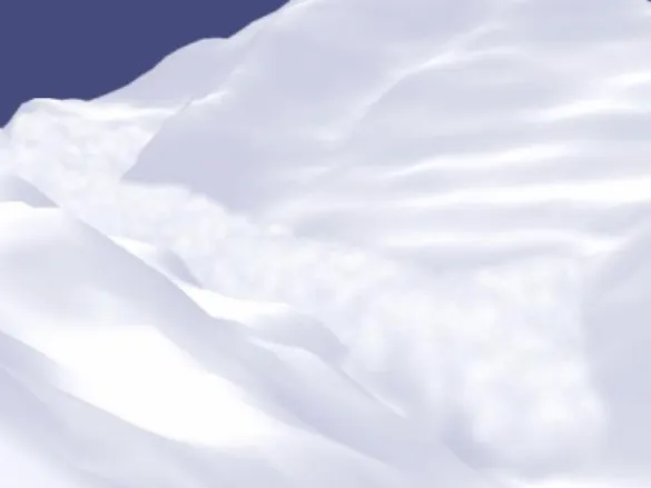 Figure 2.8: “An avalanche traveling down the slope in 3D simulation” [5]. 