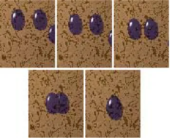 Figure 3 – Merging of Drops 