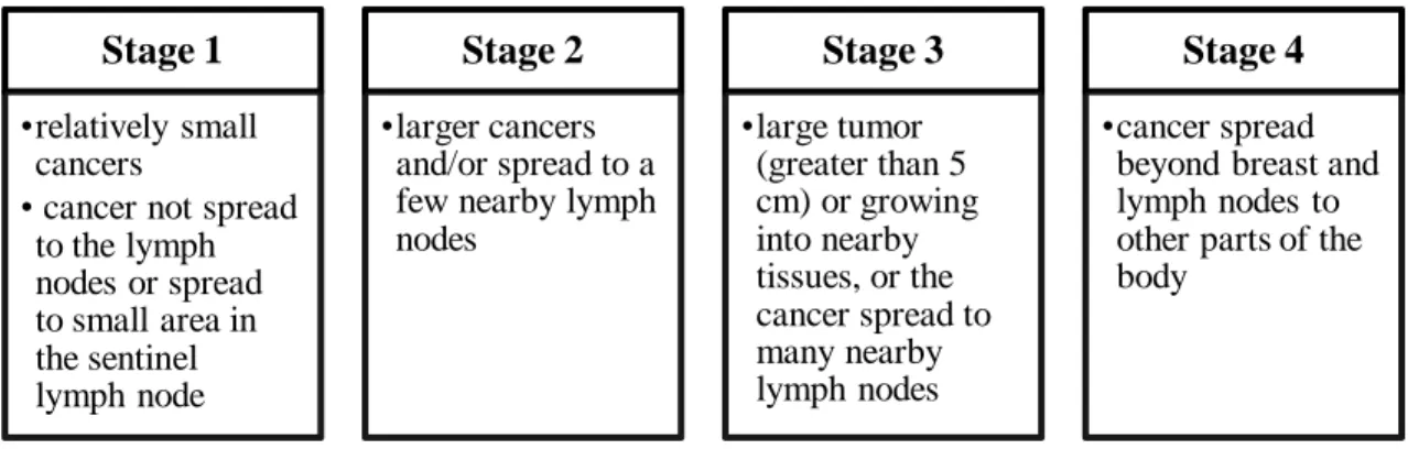 Figure 2: Stages of Breast Cancer (reproduced from [7]) 