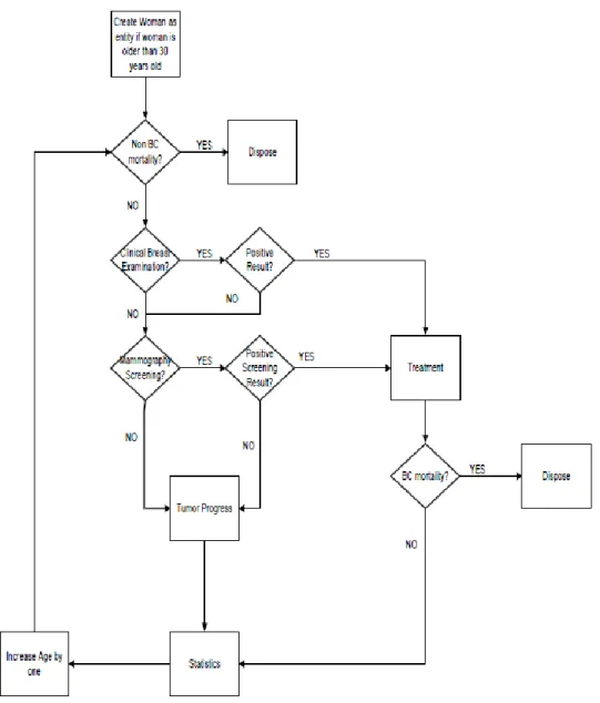 Figure 4:  Flow Chart of Ada’s Simulation Model (adapted from [21]) 