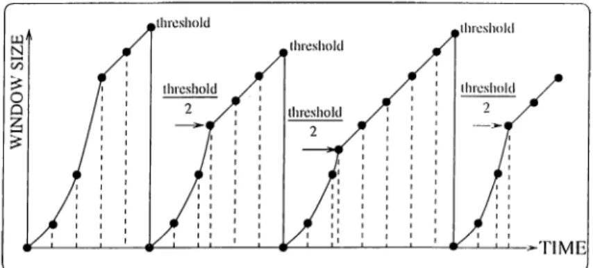 Figure  2.4:  Congestion  Control  Algorithm of TCP  -  'Гур1са1  Run  of  .Algorithni.