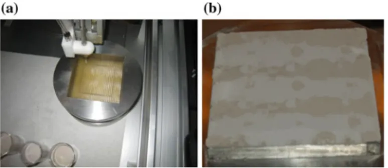 Fig. 3.9 Automated fabrication of design in Fig. 3.8 using dispensing machine within DPD in action (left) and resulting desired deposited substrate (right)