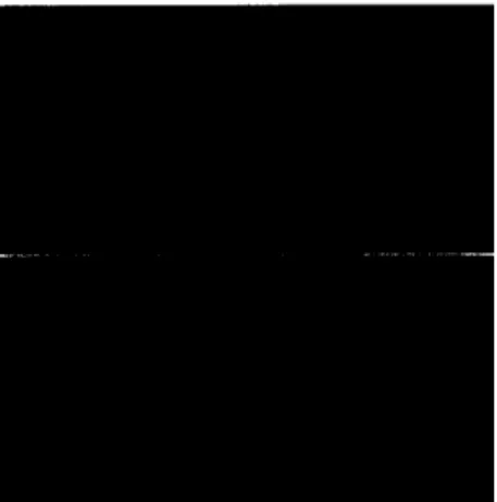 Figure  2.  (a)  T h e  first frame of “Miss America”, (b)  simulated  second frame with global  and  local motion,and the photomet-  ric  effects;  (c)  synthesized  second  frame  using the estimated  motion and  structure  parameters