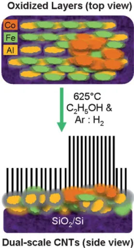 Fig. 9 Schematic representation of the VA-MWCNT growth where the taller CNT arrays were grown on Co-rich regions while the shorter CNTs were grown on Fe rich areas.