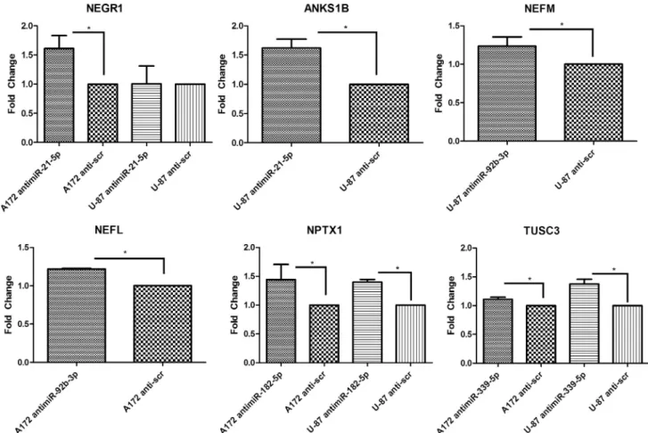 Fig. 3. Spearman correlation of miRNAs and their corresponding mRNA targets in patient samples