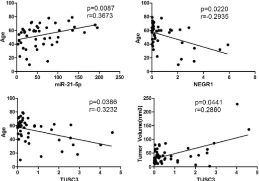 Fig. 6. Spearman correlation between clinicopathological features and the level of selected miRNAs and genes: miR-25p with Age, NEGR1 with Age, TUSC3 with Age and TUSC3 with Tumor volume