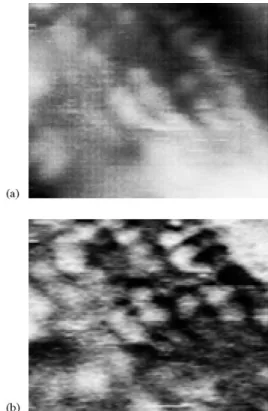 Fig. 2. Simultaneous STM (a) and force gradient (b) images of Si(1 0 0)ð2  1Þ: image size ¼ 110 —  38 —; V tip ¼ 1:5 V; I t ¼ 0:5 nA;