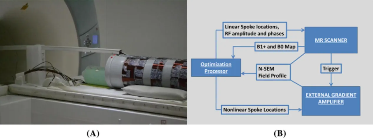 FIGURE 3 Experimental setup and procedure. A, Placement of the Siemens phantom and the nonlinear gradient coil