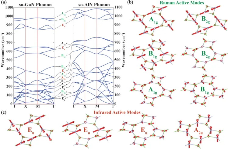 FIG. 2. (a) Phonon dispersions of so-GaN and so-AlN calculated along major symmetry directions of the Brillouin zone