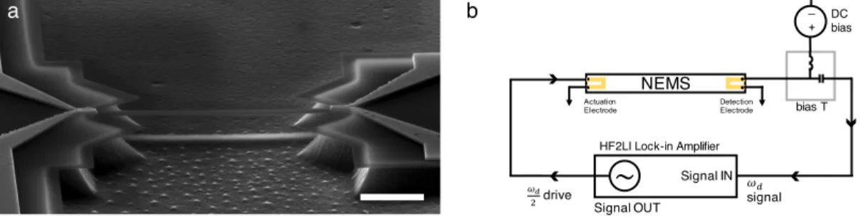 Figure 2.5: (a) SEM image of the 20 µm doubly-clamped beam resonator used in the experiments