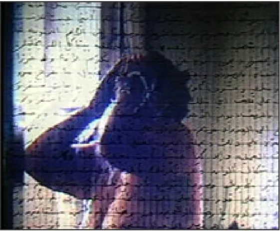 Fig. 11: “Measures of Distance” Mona Hatoum, 1988. 