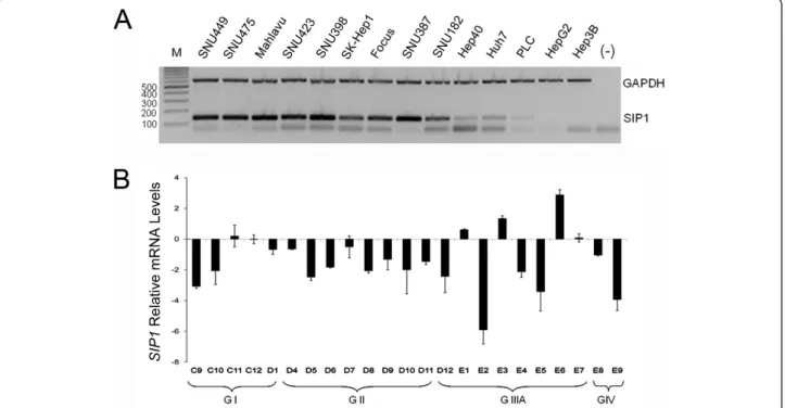 Figure 1 Expression of SIP1 in HCC cell lines and tumors. (A) SIP1 expression is detected in 14 HCC cell lines by multiplex semi-quantitative RT-PCR