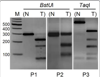 Figure 6 Methylation analysis of promoter regions by COBRA.