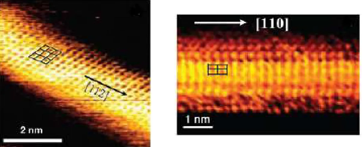 Figure 2.2: STM images of silicon nanowires grown along [112] and [110] direc- direc-tions, as given in the Ref
