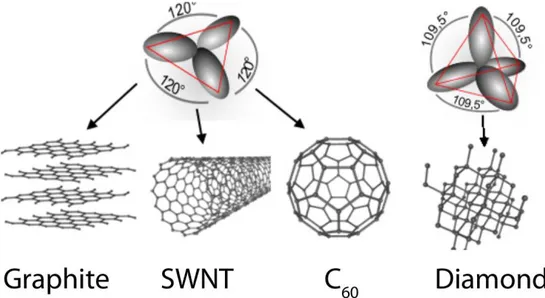 Figure 2.1: Graphene, graphite, single-walled carbon nanotube (SWNT) and C 60