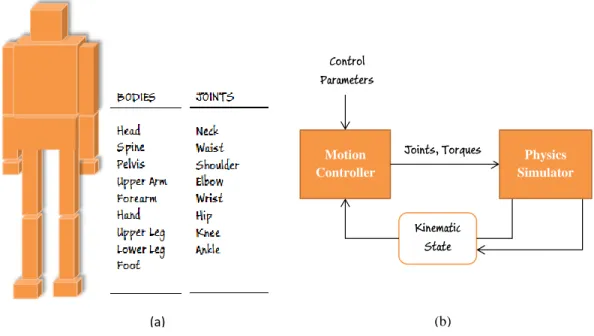 Figure 3.1: (a) Simplified physics based character. (b) Motion Controller and Physics Simulator.