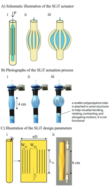 Figure 1.  Operation and design of SLit-in-Tube (SLiT) actuators. A) Sche- Sche-matic illustration of the operation of a SLiT actuator where i) the yellow  outer cylinder is a polypropylene tube, the black vertical lines indicate  slits, and the blue inner