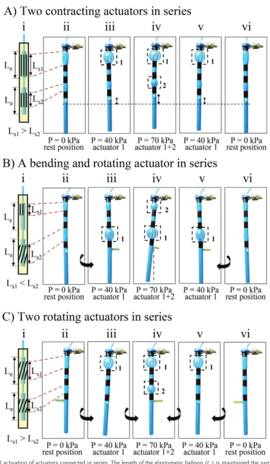 Figure 5.  Sequential activation of actuators connected in series. The length of the elastomeric balloon (L e ) is maintained the same for each segment  in all the actuators