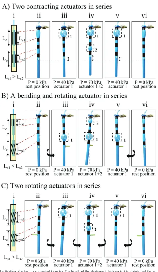 Figure 5.  Sequential activation of actuators connected in series. The length of the elastomeric balloon (L e ) is maintained the same for each segment  in all the actuators