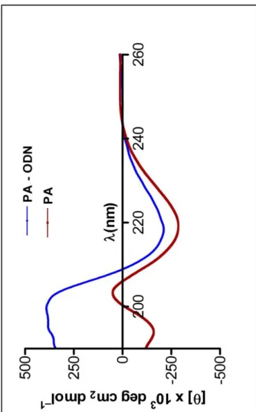 Figure 8. CD spectra demonstrate increased β-sheet formation in PA- ODN  mixture compared to PA alone 