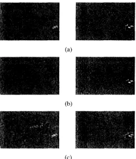 Figure  4:  (a)  Prediction  error  image  c[ni,n] arid  [6]  G.  B.  Giannakis  and  M