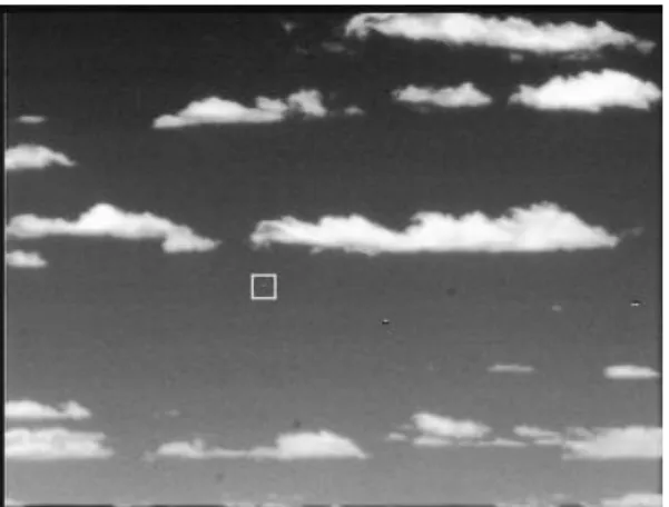 FIGURE 7. A sample frame from an infra-red video sequence. One-pixel target is shown inside the rectangle.