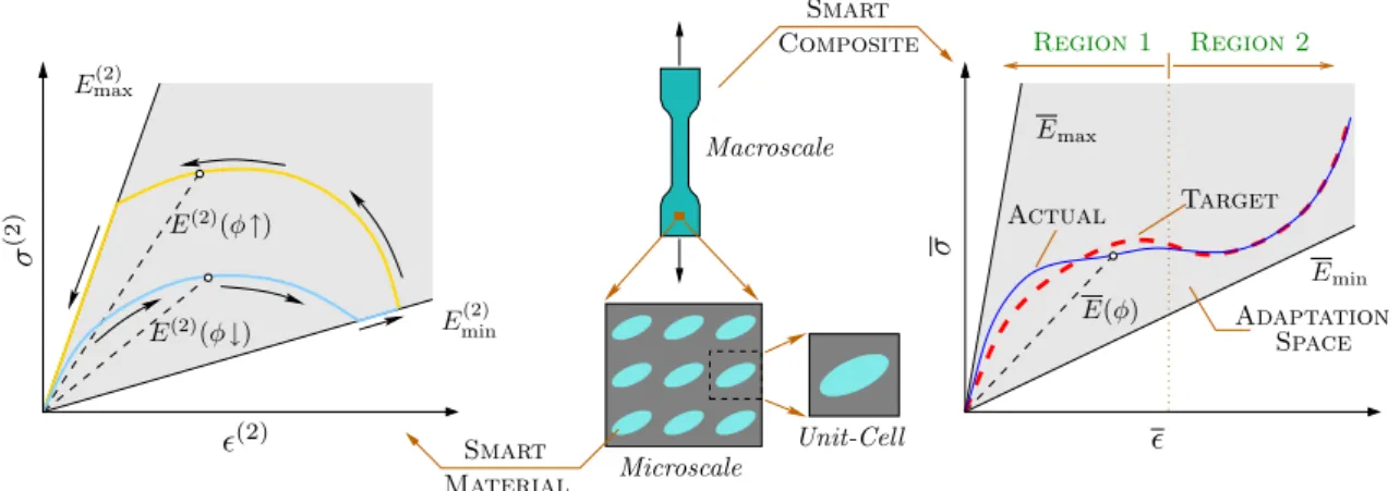 Fig. 2 Smart composite with a tunable stress–strain curve. The aim is to tune the elastic modulus E (2) (φ) of a microscopic constituent (in this case the particle) via a control variable φ(t) so that the actual macroscopic stress σ (t) approaches a desire